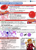 Hematology USMLE Step 2 CK Book