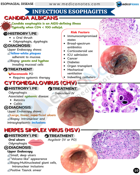 Gastroenterology USMLE Step 2 CK Book