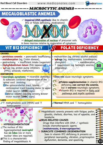 Hematology USMLE Step 2 CK Book