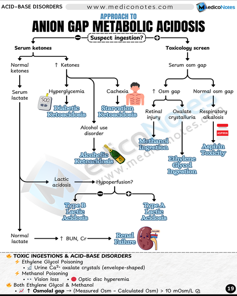 Nephrology USMLE Step 2 CK Book