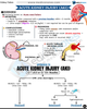 Nephrology USMLE Step 2 CK Book