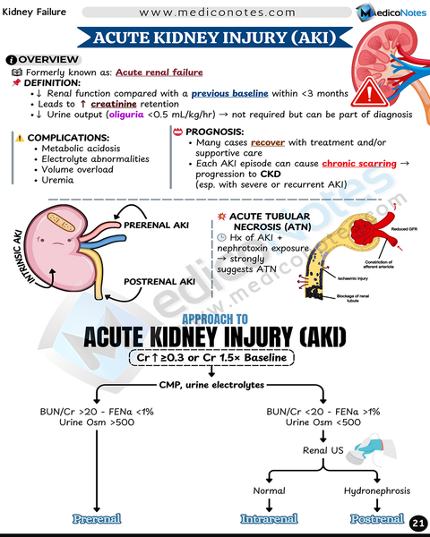 Nephrology USMLE Step 2 CK Book