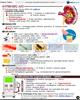 Nephrology USMLE Step 2 CK Book