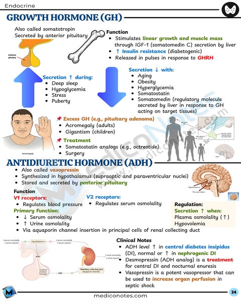 Physiology USMLE Step 1 Book