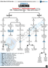 Hematology USMLE Step 2 CK Book