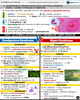 Nephrology USMLE Step 2 CK Book