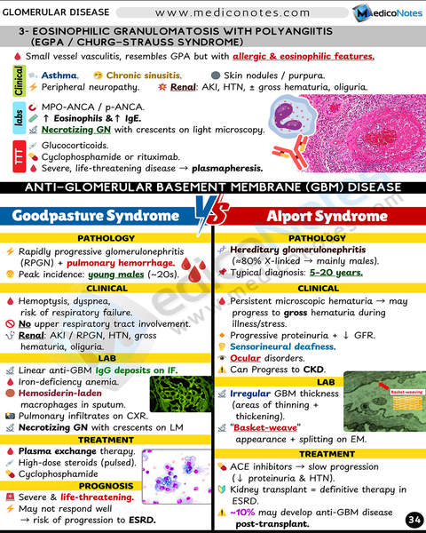 Nephrology USMLE Step 2 CK Book