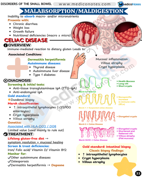 Gastroenterology USMLE Step 2 CK Book