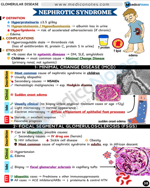 Nephrology USMLE Step 2 CK Book
