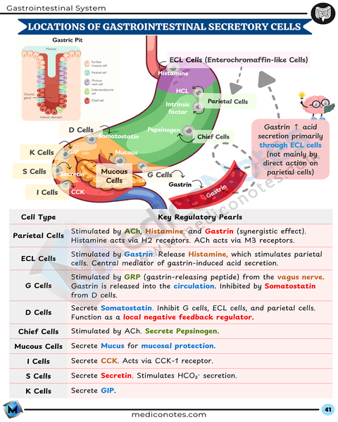 Physiology USMLE Step 1 Book