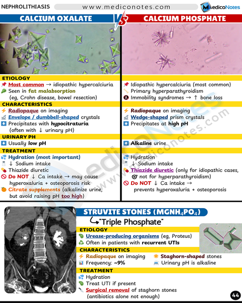 Nephrology USMLE Step 2 CK Book
