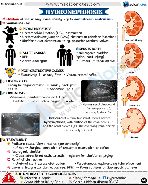 Nephrology USMLE Step 2 CK Book