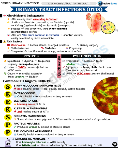 Nephrology USMLE Step 2 CK Book