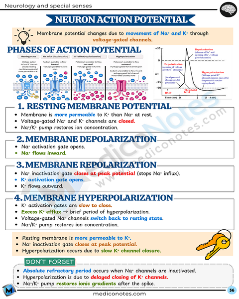 Physiology USMLE Step 1 Book