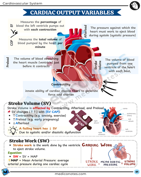 Physiology USMLE Step 1 Book