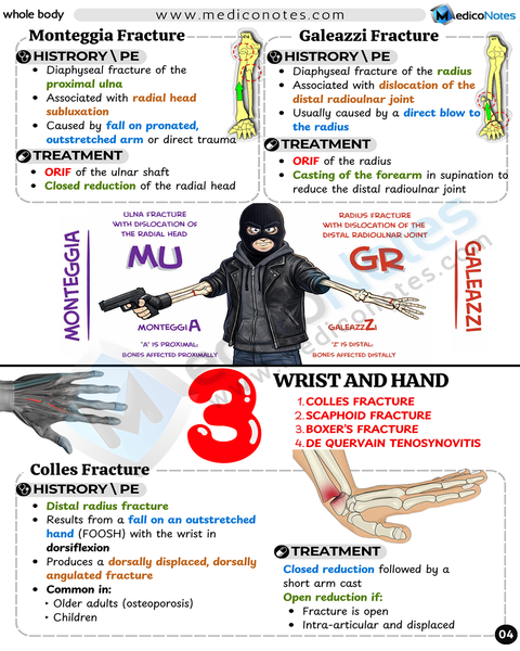 Musculoskeletal USMLE Step 2 CK Book