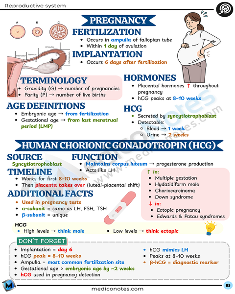 Physiology USMLE Step 1 Book