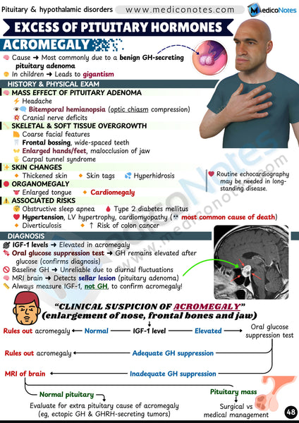 Endocrinology USMLE Step 2 CK Book
