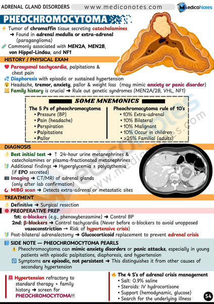 Endocrinology USMLE Step 2 CK Book