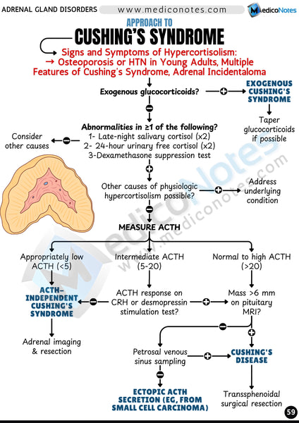Endocrinology USMLE Step 2 CK Book