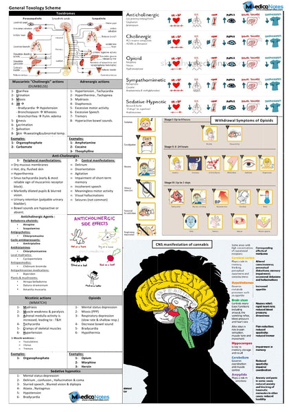 Pharmacology & Toxicology E-Book