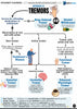 Neurology USMLE Step 2 CK Book