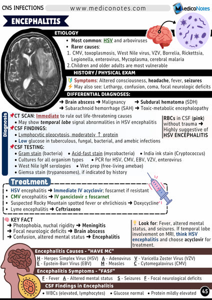 Neurology USMLE Step 2 CK Book
