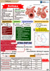 Respiratory USMLE Step 2 Book