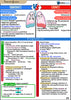 Respiratory USMLE Step 2 Book