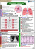 Respiratory USMLE Step 2 Book