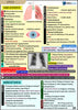 Respiratory USMLE Step 2 Book