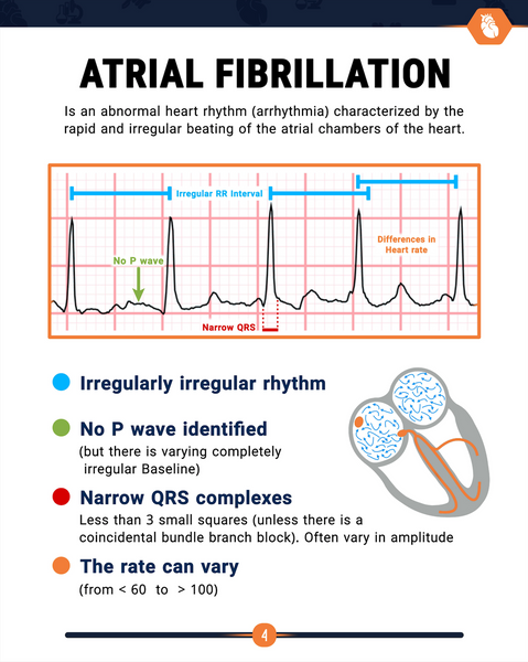 Medical Flashcards E-Book
