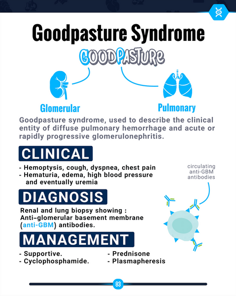 Medical Flashcards E-Book