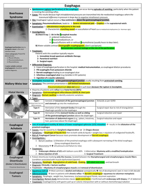 Surgery Notes – MedicoNotes