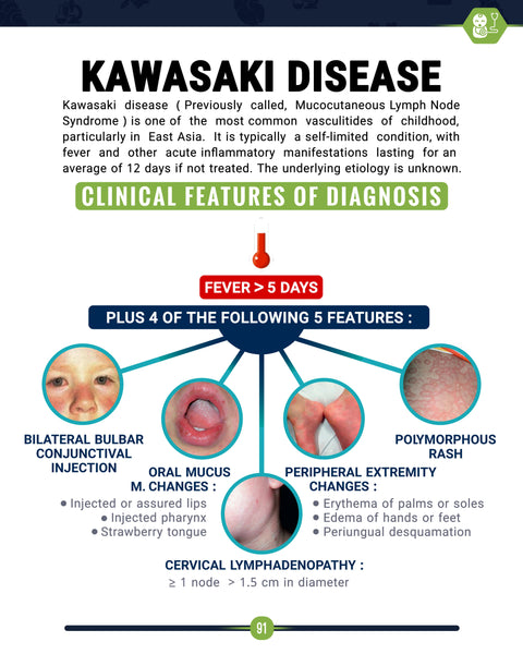 Medical Flashcards E-Book