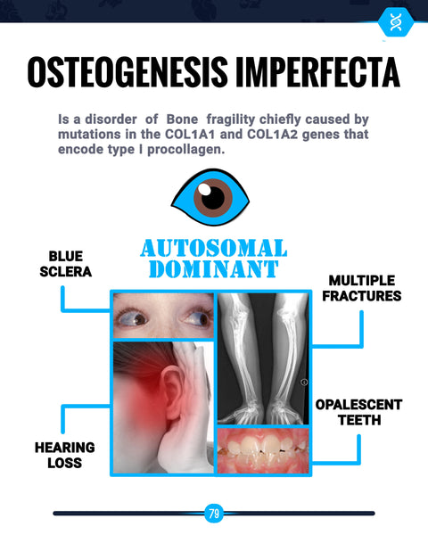 Medical Flashcards E-Book